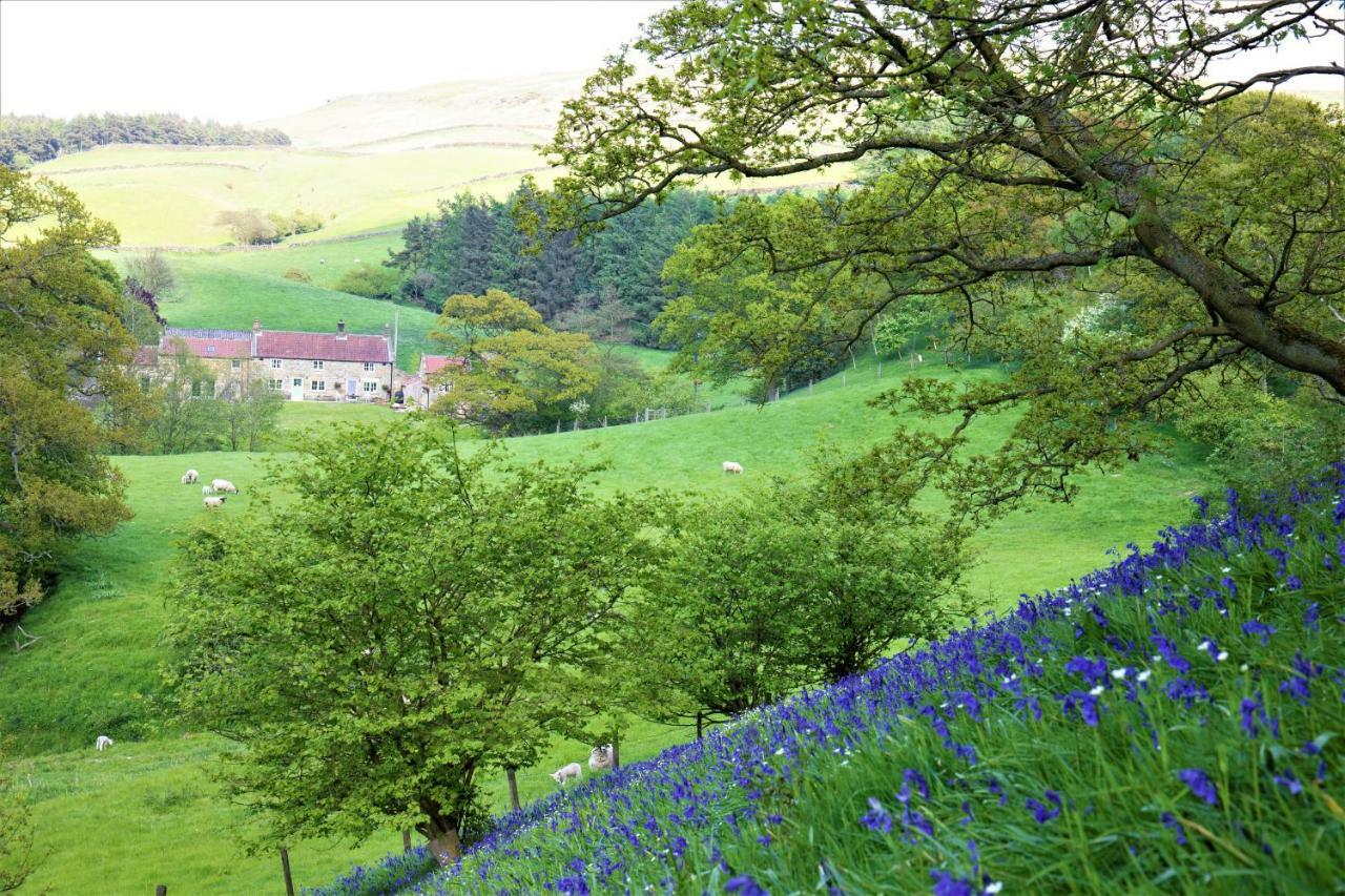 Bluebells Cottage Chop Gate Exterior photo