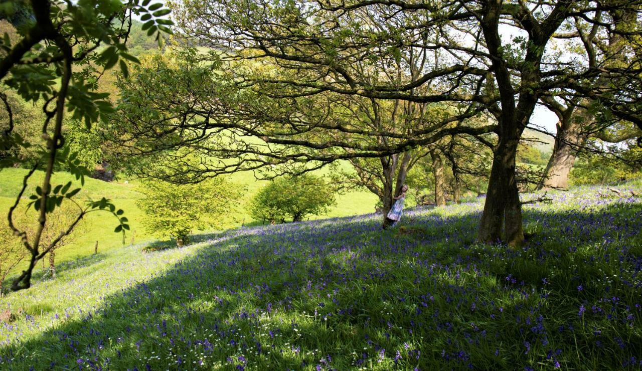 Bluebells Cottage Chop Gate Exterior photo